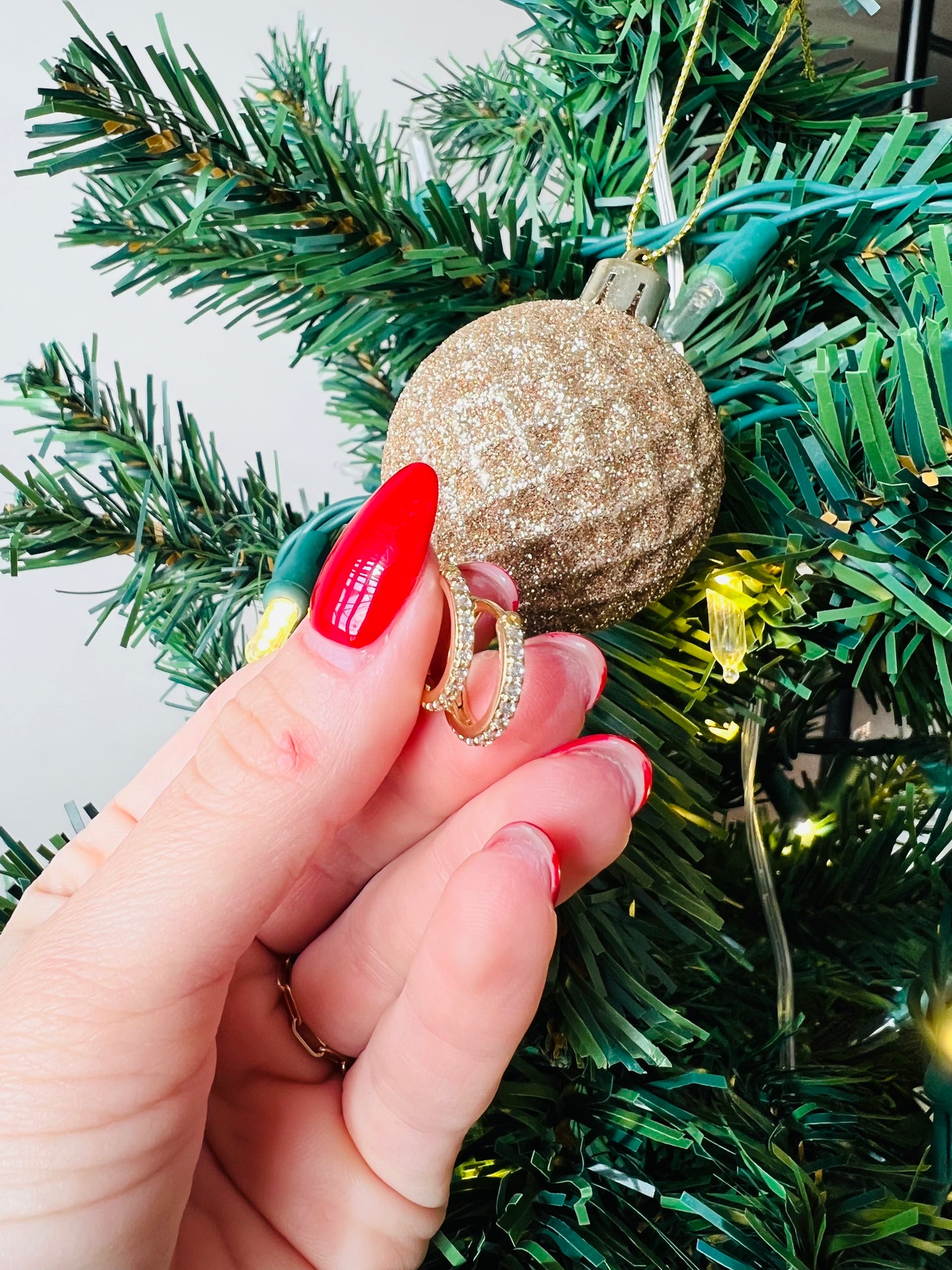 Eva Clicker Earring Hoop