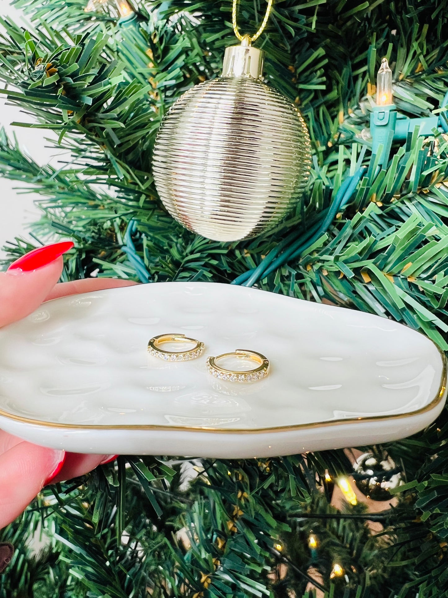 Eva Clicker Earring Hoop