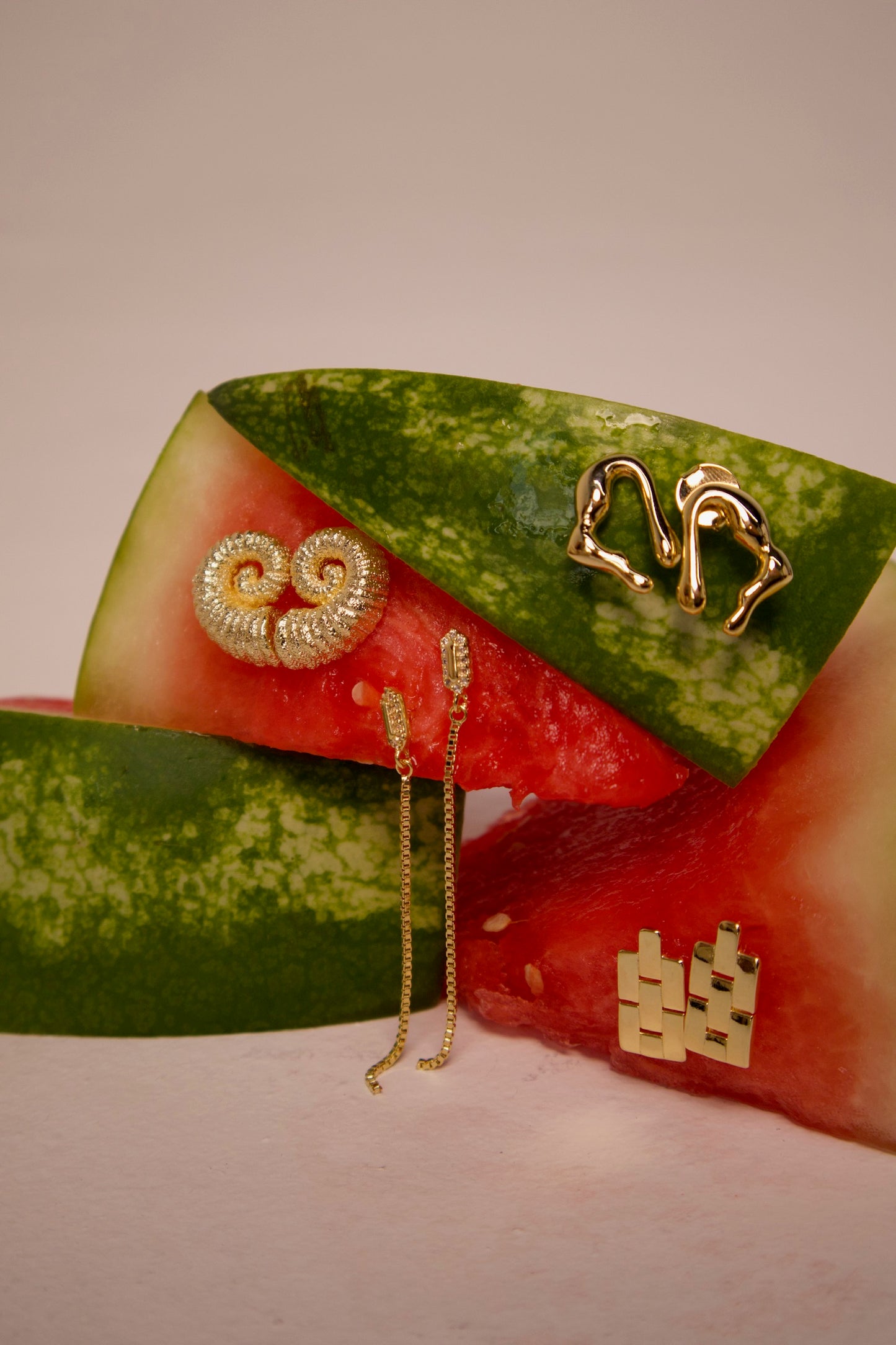 Seashell Stone Earrings