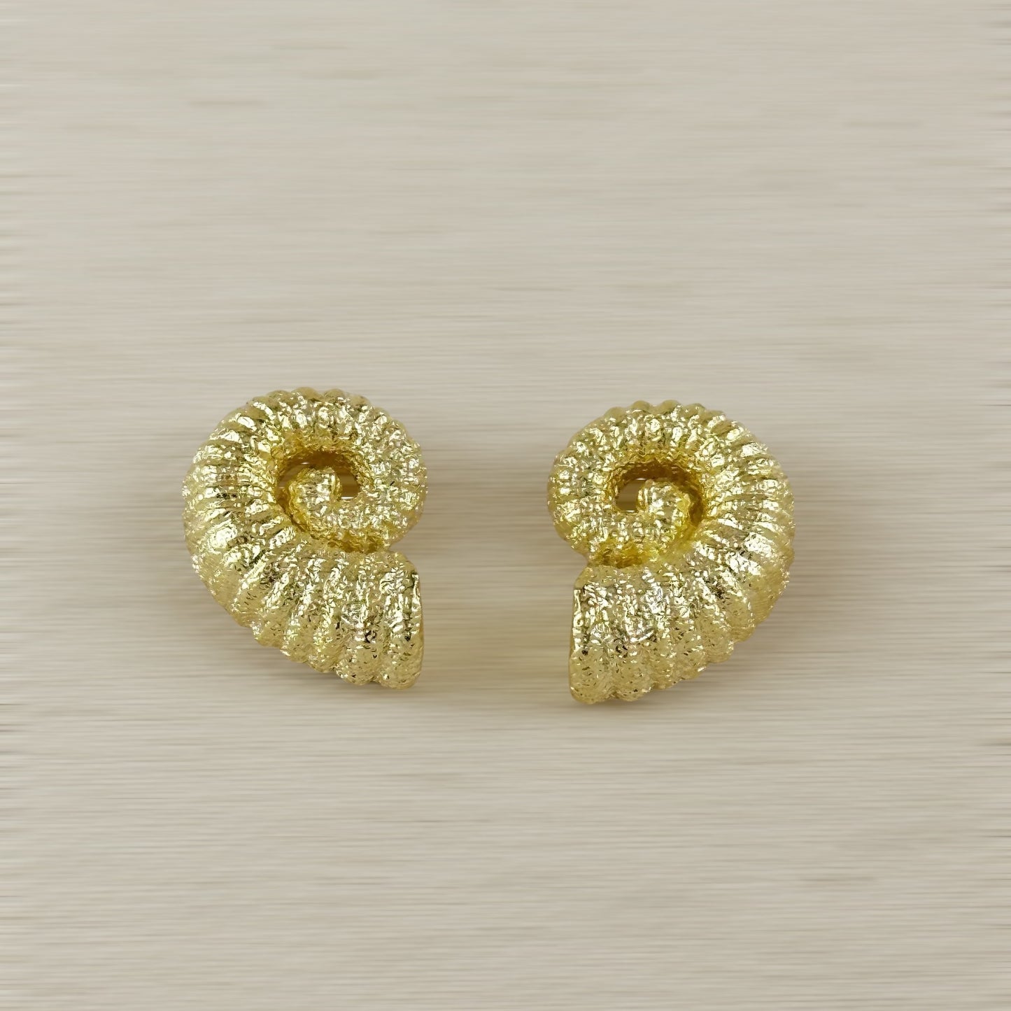 Seashell Stone Earrings